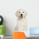 Golden Retriever Puppy Close-up Wall Decal