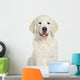 Golden Retriever Puppy Close-up Wall Decal