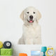Golden Retriever Puppy Close-up Wall Decal