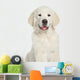 Golden Retriever Puppy Close-up Wall Decal