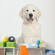 Golden Retriever Puppy Close-up Wall Decal