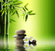 Spa with Bamboo