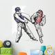 TaeKwon-Do. Hand drawn (calligraphic and grunge) vector Wall Decal