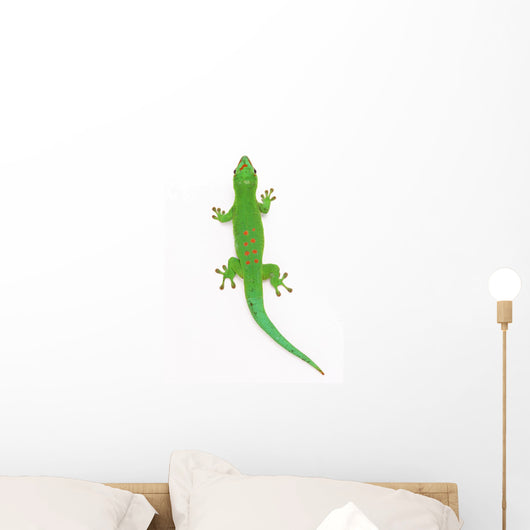 Lizard Wall Decal