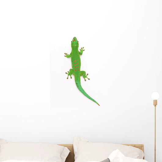 Lizard Wall Decal