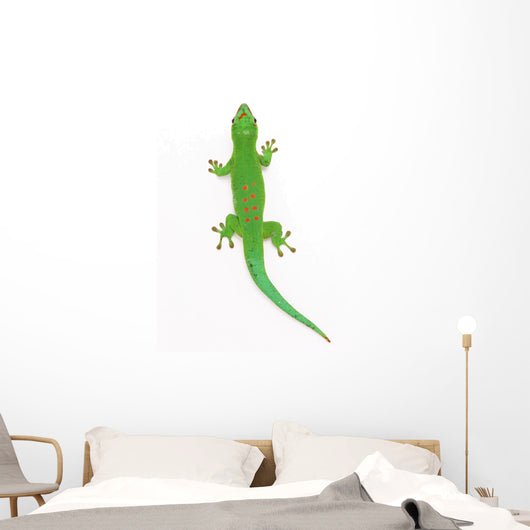Lizard Wall Decal