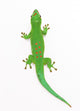 Lizard Wall Decal