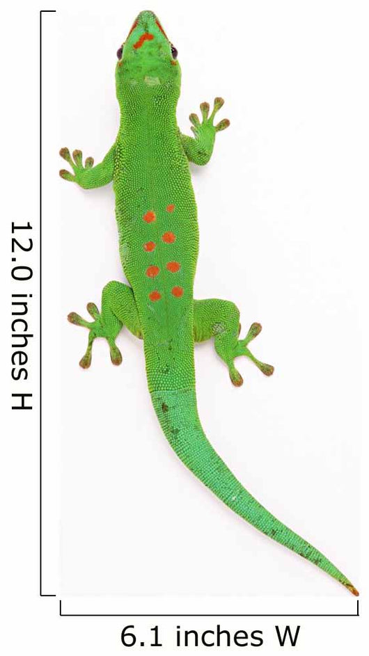Lizard Wall Decal