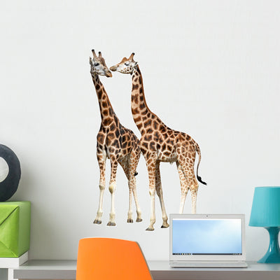 Giraffes White shown on a wall