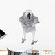 African Grey Parrot, Isolated on White Background Wall Decal