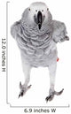 African Grey Parrot, Isolated on White Background Wall Decal