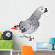 African Grey Parrot, Isolated on White Background Wall Decal