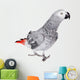 African Grey Parrot, Isolated on White Background Wall Decal