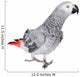 African Grey Parrot, Isolated on White Background Wall Decal