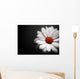 Daisy on Black Background Wall Mural