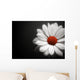 Daisy on Black Background Wall Mural