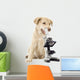 Puppy Veterinarian Wall Decal