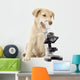 Puppy Veterinarian Wall Decal