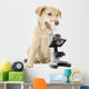 Puppy Veterinarian Wall Decal
