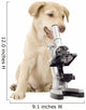 Puppy Veterinarian Wall Decal