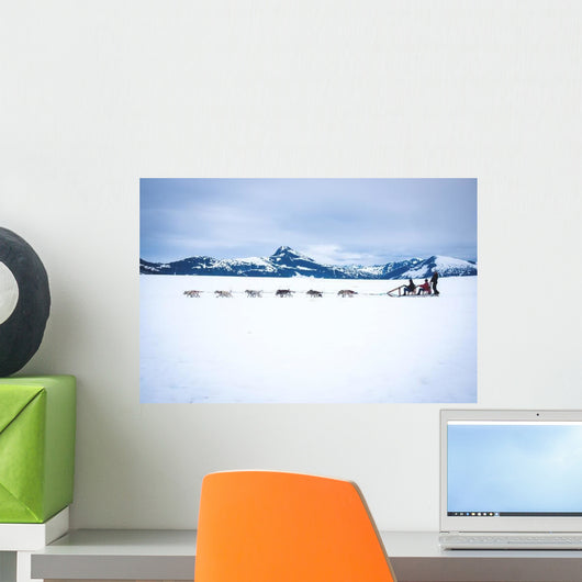 Tourists Are Pulled Dog Wall Decal