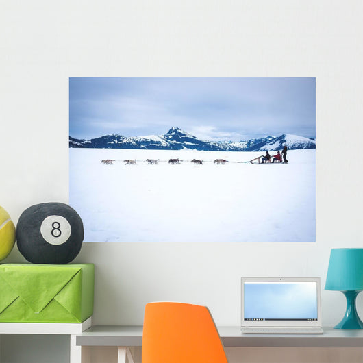 Tourists Are Pulled Dog Wall Decal