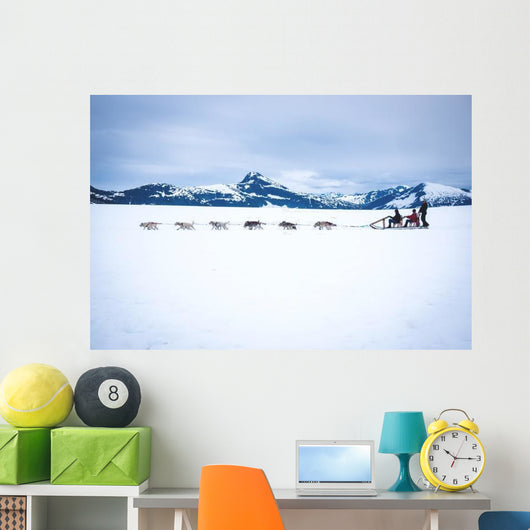 Tourists Are Pulled Dog Wall Decal
