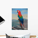 Parrot Wall Mural