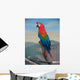 Parrot Wall Mural
