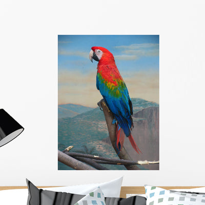 Parrot Wall Mural shown on a wall