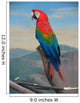 Parrot Wall Mural
