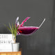 Red Wine White