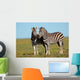 Pair Pf Plains Zebras
