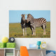Pair Pf Plains Zebras