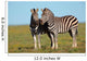 Pair Pf Plains Zebras