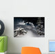 Skier go down powder snow Wall Mural