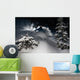 Skier go down powder snow Wall Mural