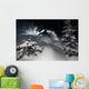 Skier go down powder snow Wall Mural