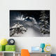 Skier go down powder snow Wall Mural