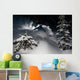 Skier go down powder snow Wall Mural