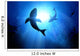 Great White Sharks