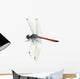 Dragonfly Red White
