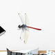 Dragonfly Red White