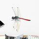 Dragonfly Red White