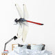 Dragonfly Red White
