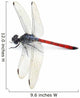 Dragonfly Red White