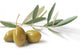 The Olives With Fogle Wall Decal
