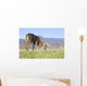 Whitetail buck grazing Wall Mural