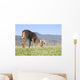 Whitetail buck grazing Wall Mural