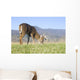 Whitetail buck grazing Wall Mural